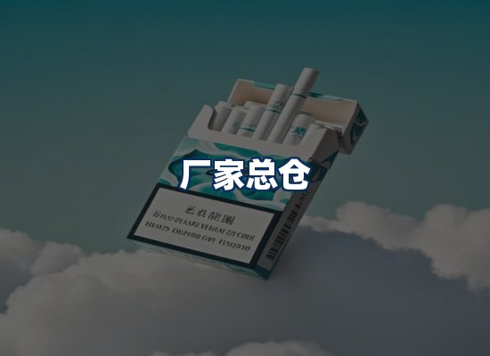 专业团队办公环境